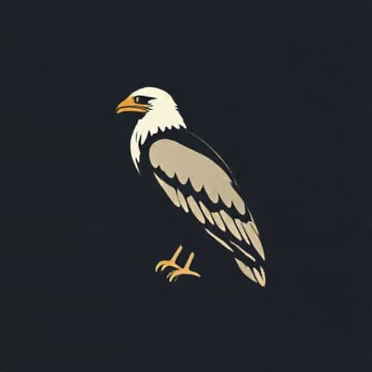 Largest Bird Of Prey