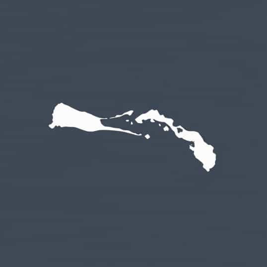Largest Panamanian Population In Us