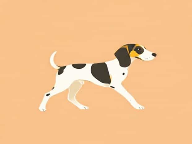Lemon Treeing Walker Coonhound Puppy