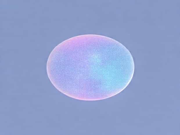 Mac Rising Star Opalescent Powder
