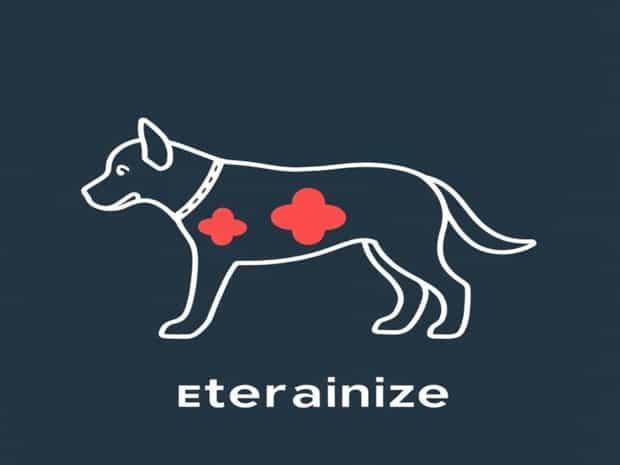 Mast Cell Tumor Dog When To Euthanize