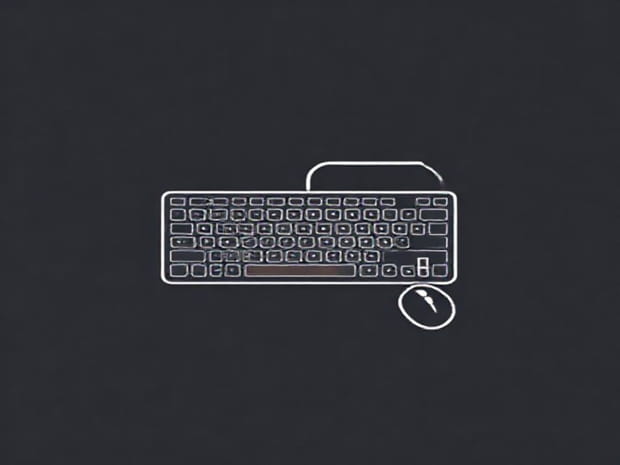 Dell Wired Keyboard And Mouse