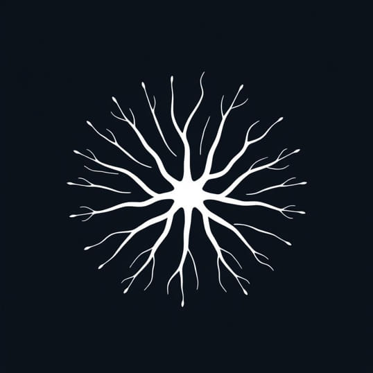 Describe The Nervous System Of An Echinoderm