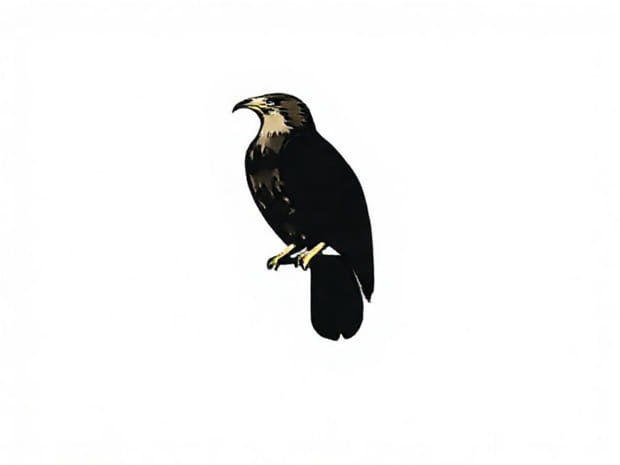 Difference Between Buzzard And Sparrowhawk
