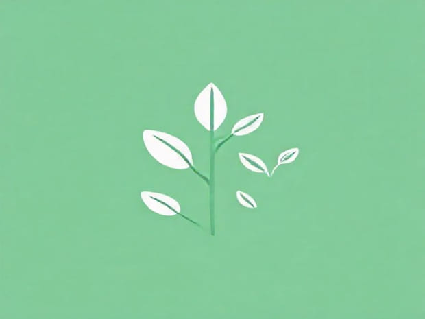 Difference Between Organic And Inorganic