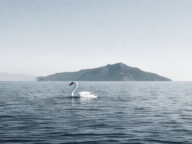 Distance Swansea To Wineglass Bay