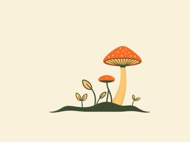 Do Fungi Do Photosynthesis