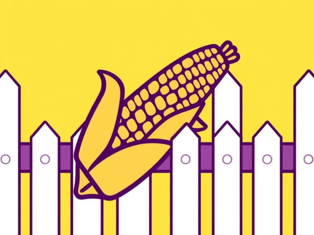 Eat Corn Through A Picket Fence