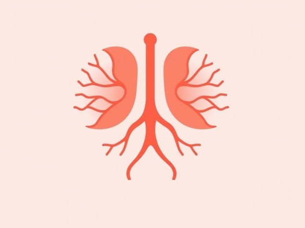 Example Of Lymphoid Organ