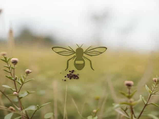 Fake Wasp Nest To Deter Wasps