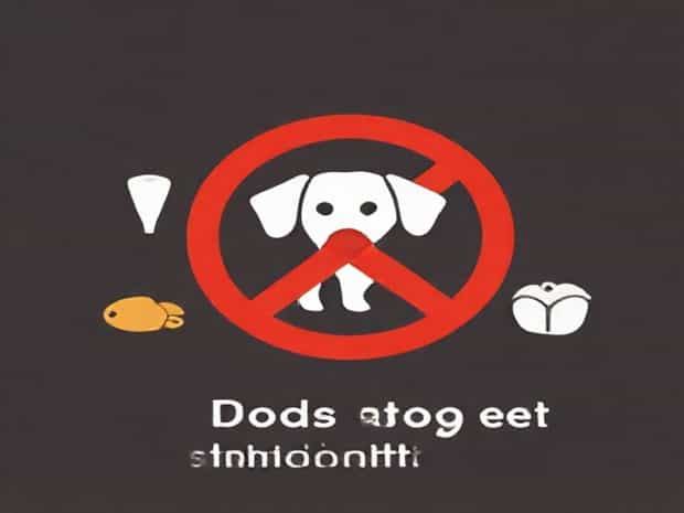 Foods Dogs Shouldn'T Eat