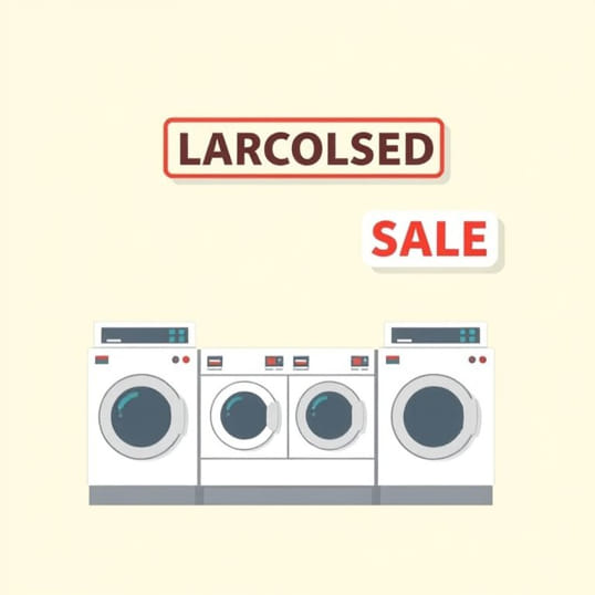 Foreclosed Laundromat For Sale