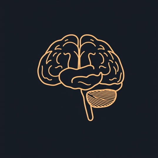 Function Of Primary Gustatory Cortex