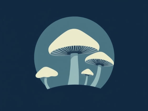 Fungi Are Filamentous Meaning