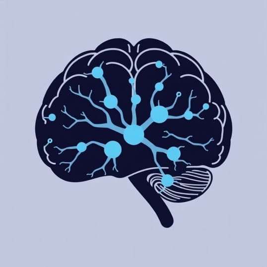 Golgi Cells In Cerebellum