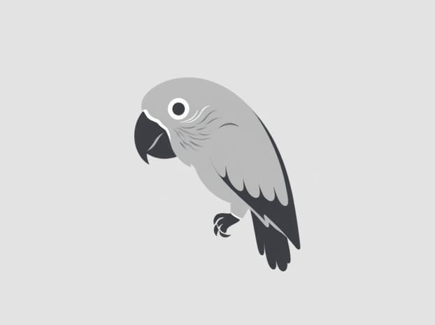 Grey African Parrot For Sale
