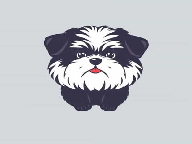 How Much Is A Shih Poo