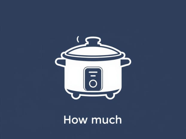 How Much Is A Slow Cooker