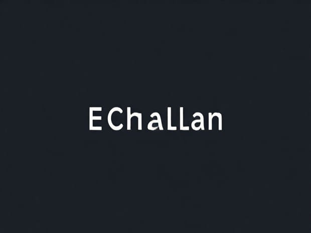 How To E Challan