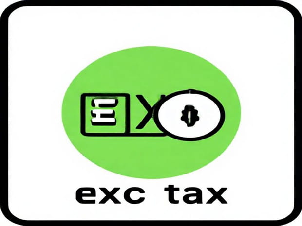 How To Pay Excise Tax