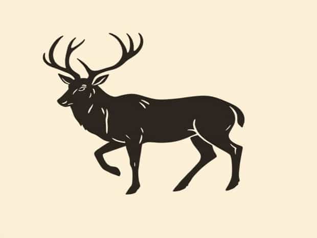 How To Take Gaminess Out Of Venison