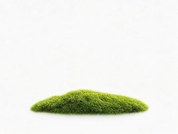 How To Use Peat Moss