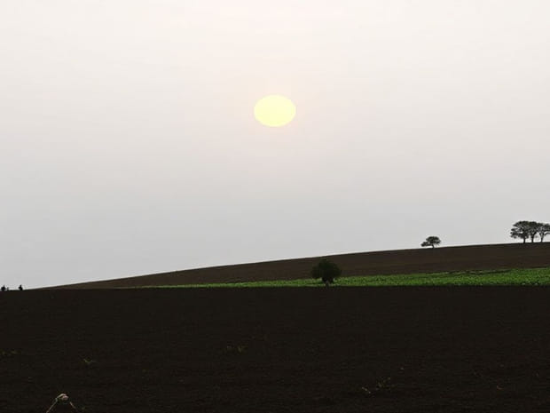 I Annoyed Millions Of Cultivators