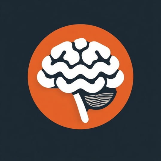 Identify The Three Layers Of Meninges