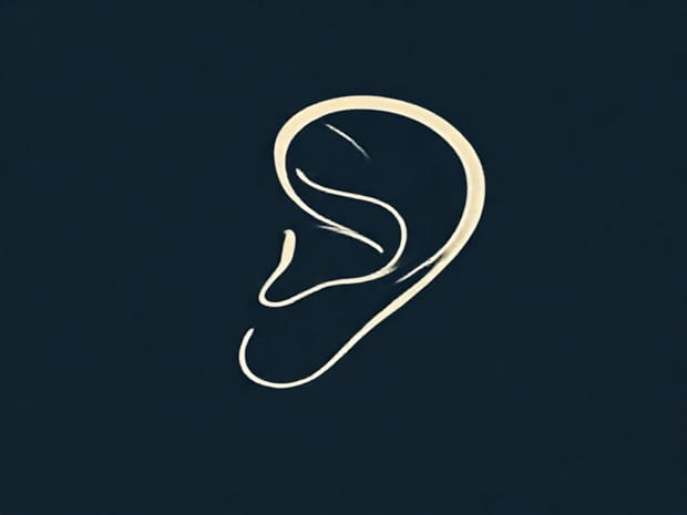 In Which Part Of The Ear Is The Cochlea Located