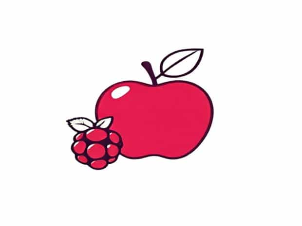 J20 Apple And Raspberry