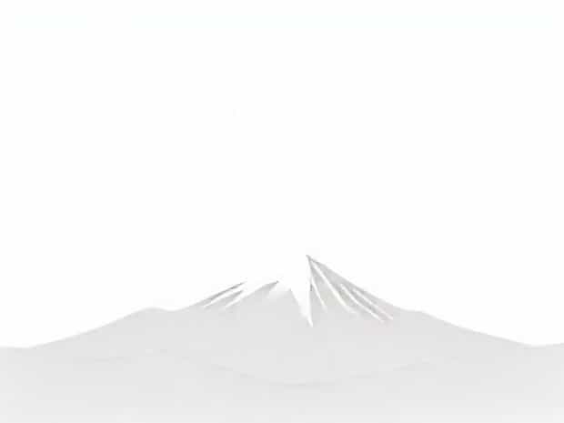 Just Wanted To Apprise You