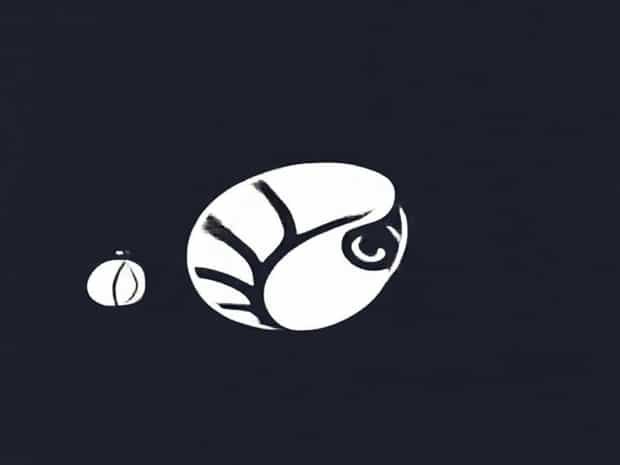 Kanakapura Cocoon Market Rate Today