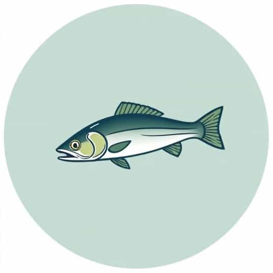 Lazy Ike Fishing Lure