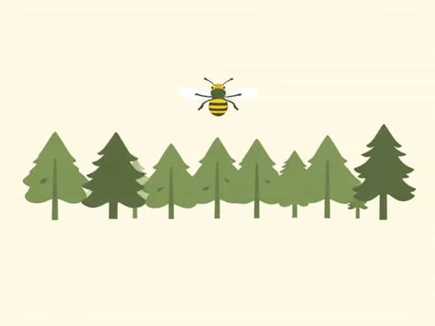 Make A Beeline For The Treeline