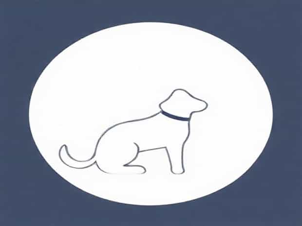 Making The Decision To Euthanize Your Dog