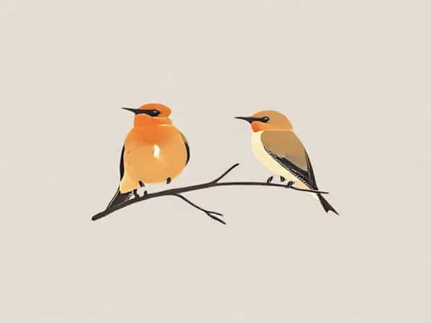 Male And Female Cedar Waxwing