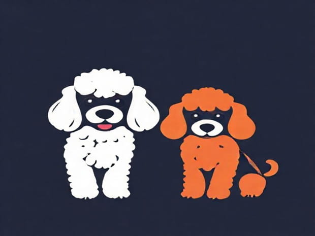 Can Poodles Be Multicolored