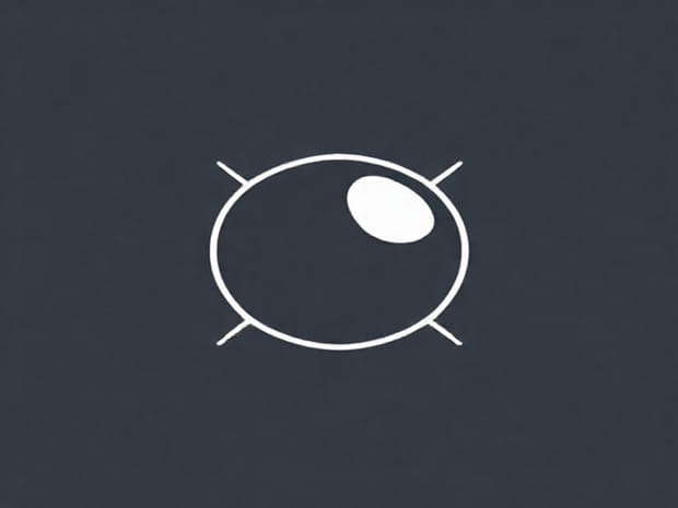 Cell Cycle Is Divisible Into