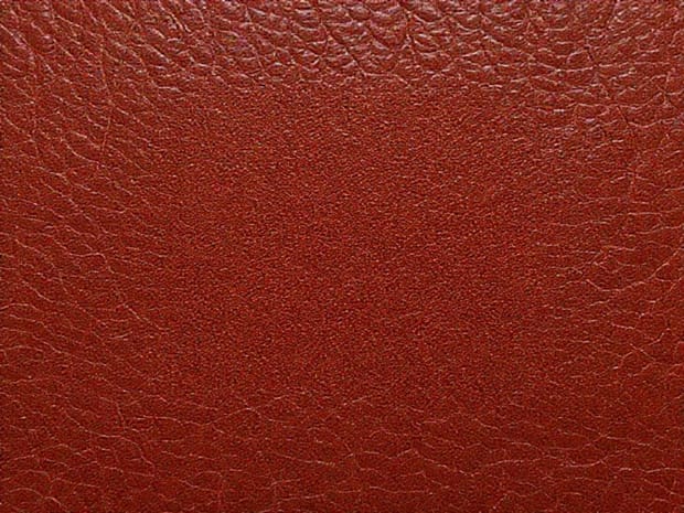 Crossword Clue Leather With Varnished Surface