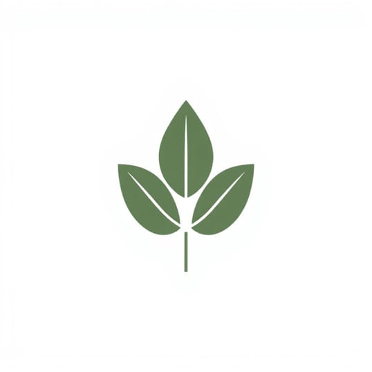 Diagram Of Leaf Ontogeny