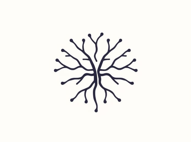 Draw The Diagram Of Neuron
