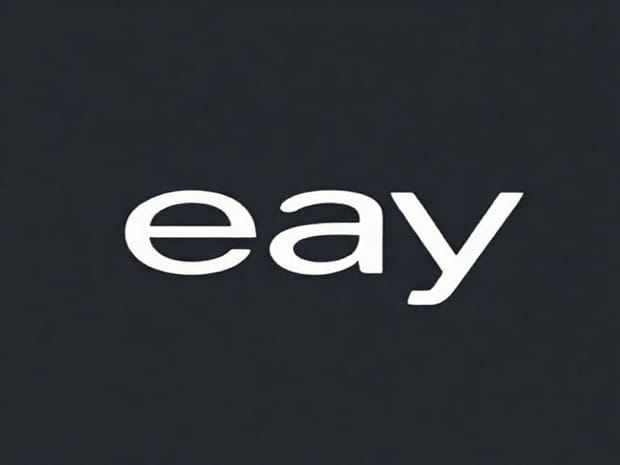 Ebay What Does Nib Mean