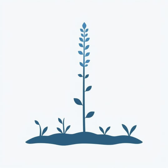 Echium Blue Bedder Seedlings