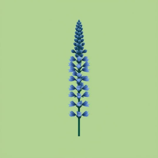 Echium Blue Bedder Seeds
