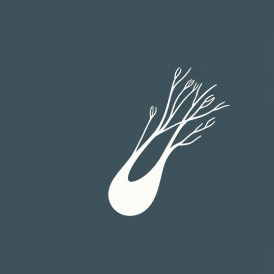 Economic Importance Of Fennel