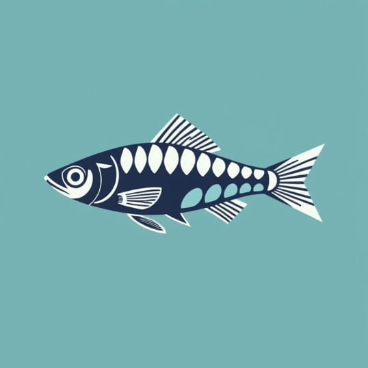 Exodon Paradoxus Bucktooth Tetra