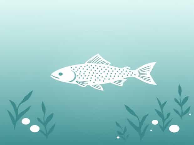 Fish In Polluted Water