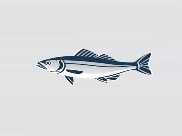 Fishing Improved Clinch Knot