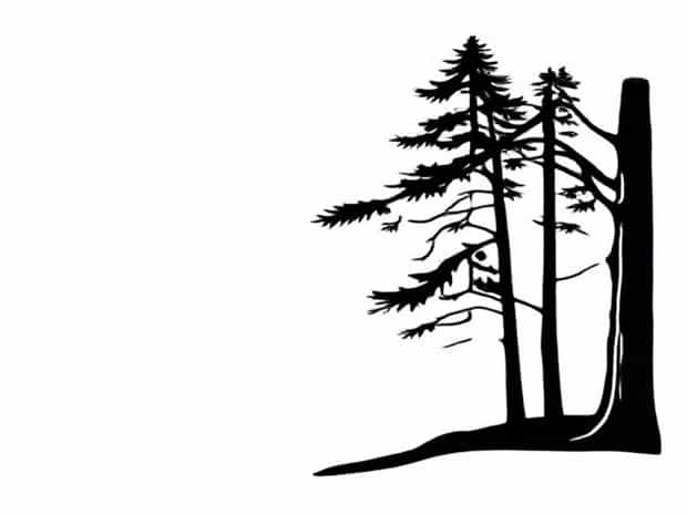 Freddy Blondel Maple Ridge