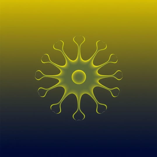 Function Of Golgi Vesicle